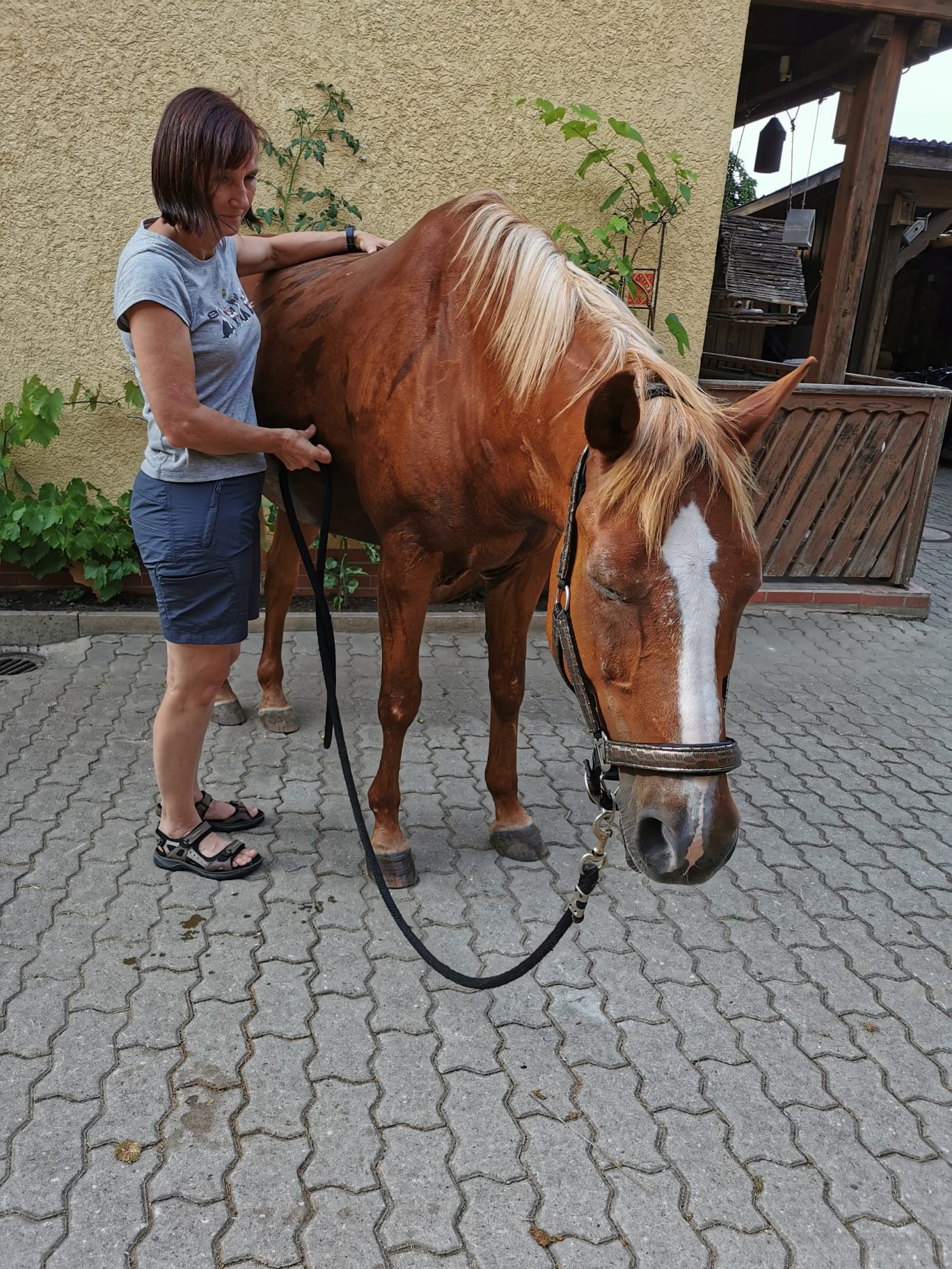 Manuela Nastvogel streichelt ein Pferd